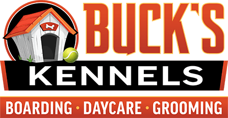 Buck's Kennels Boarding Daycare Grooming
