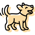 pricing icon Buck's Kennels Boarding Daycare Grooming