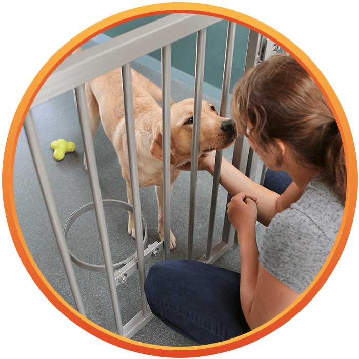 Buck's Kennels Boarding Daycare Grooming